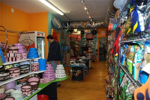 寵物用品超市加盟費解析 總投資27.89萬元，加盟費如何構成？